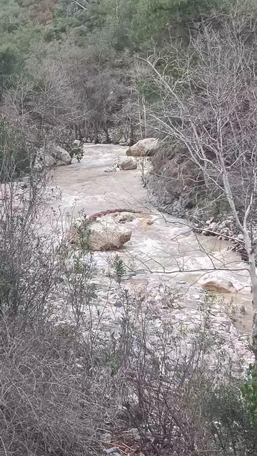 @SELÇUK