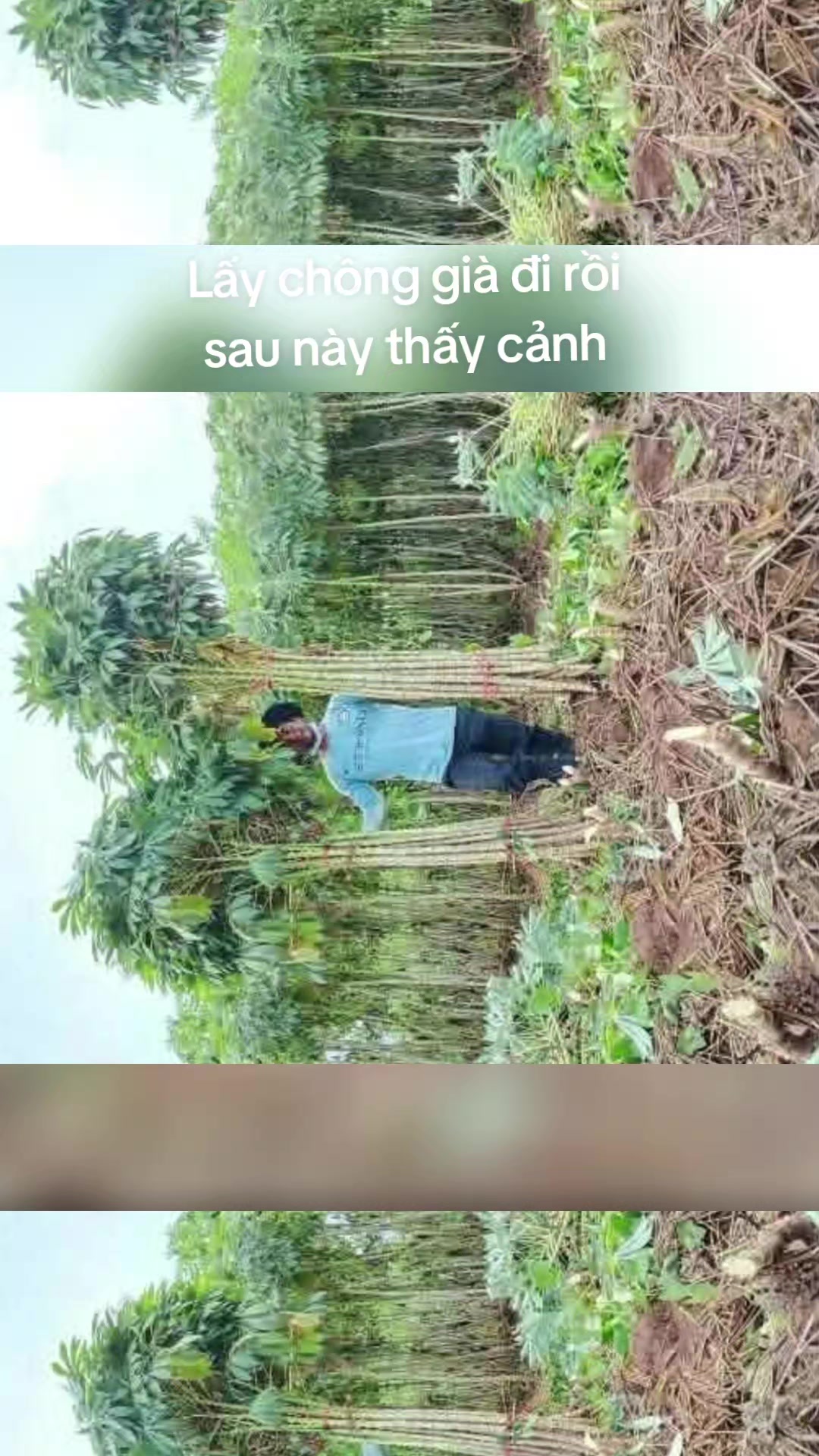 @Kim Vân🤣❤️🥰