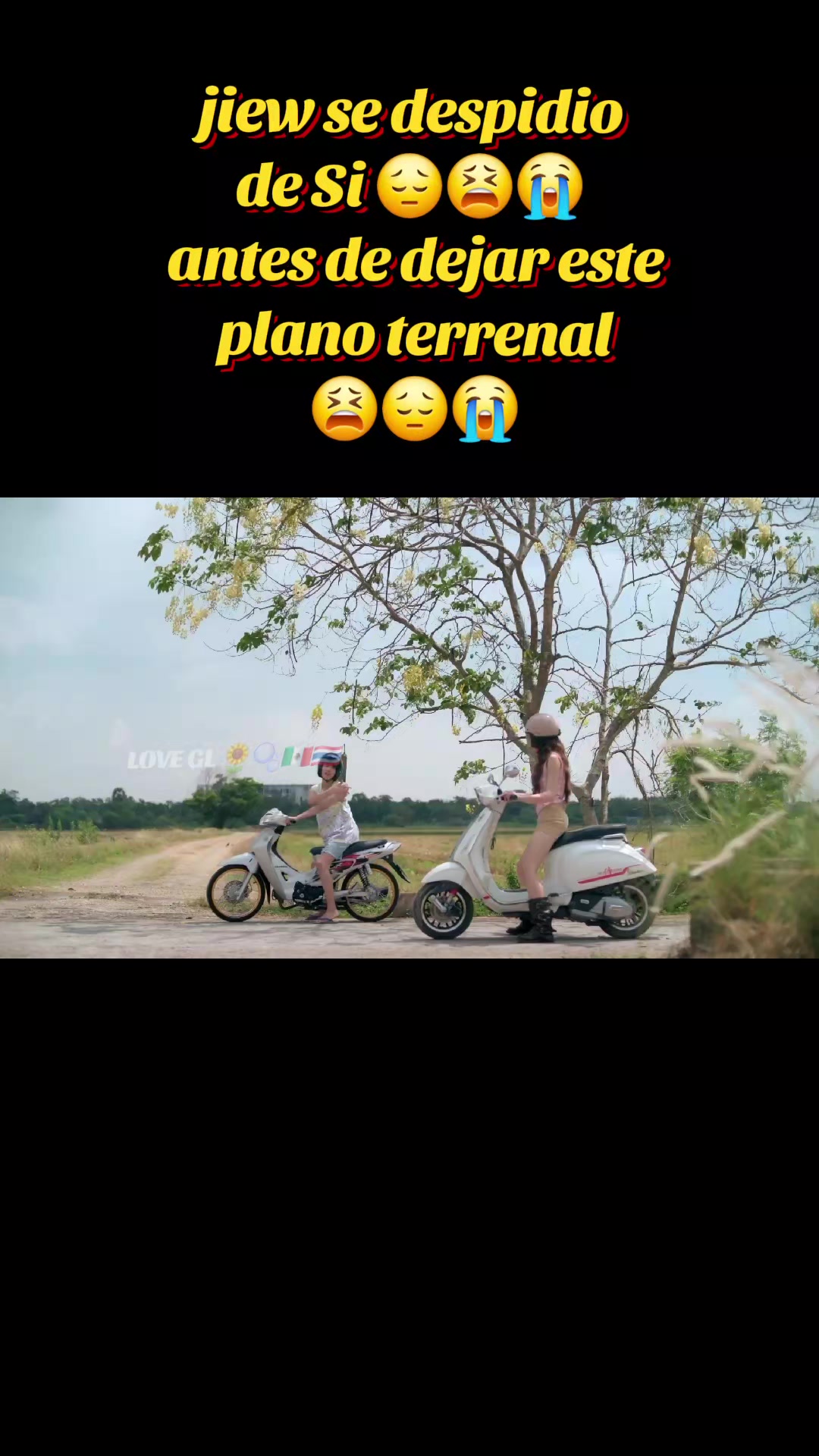 @LOVE GL 🌻🫧🇲🇽🇹🇭