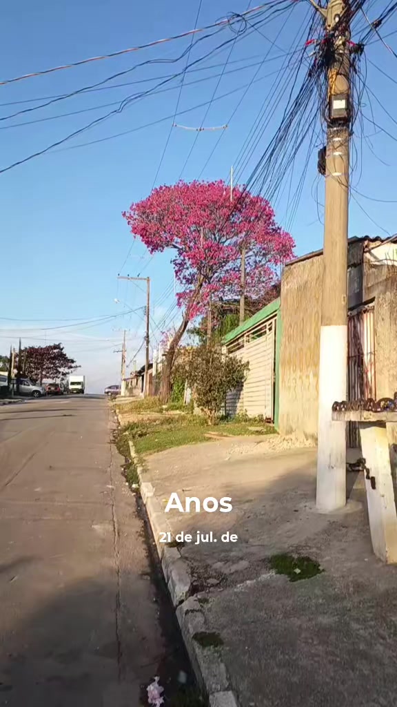 @Gilmar Ferreira 13791