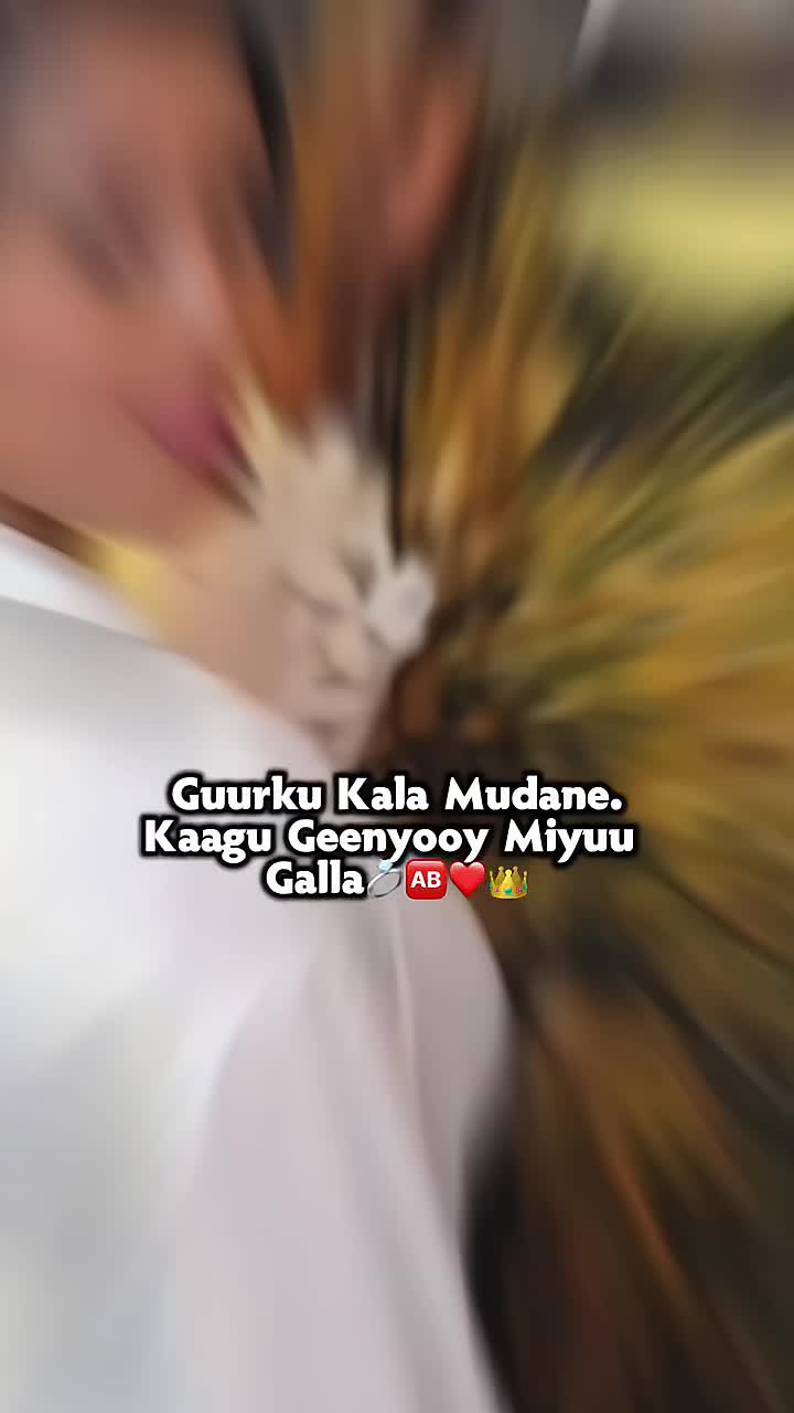 @ROOHID 🆎 🇭🇹