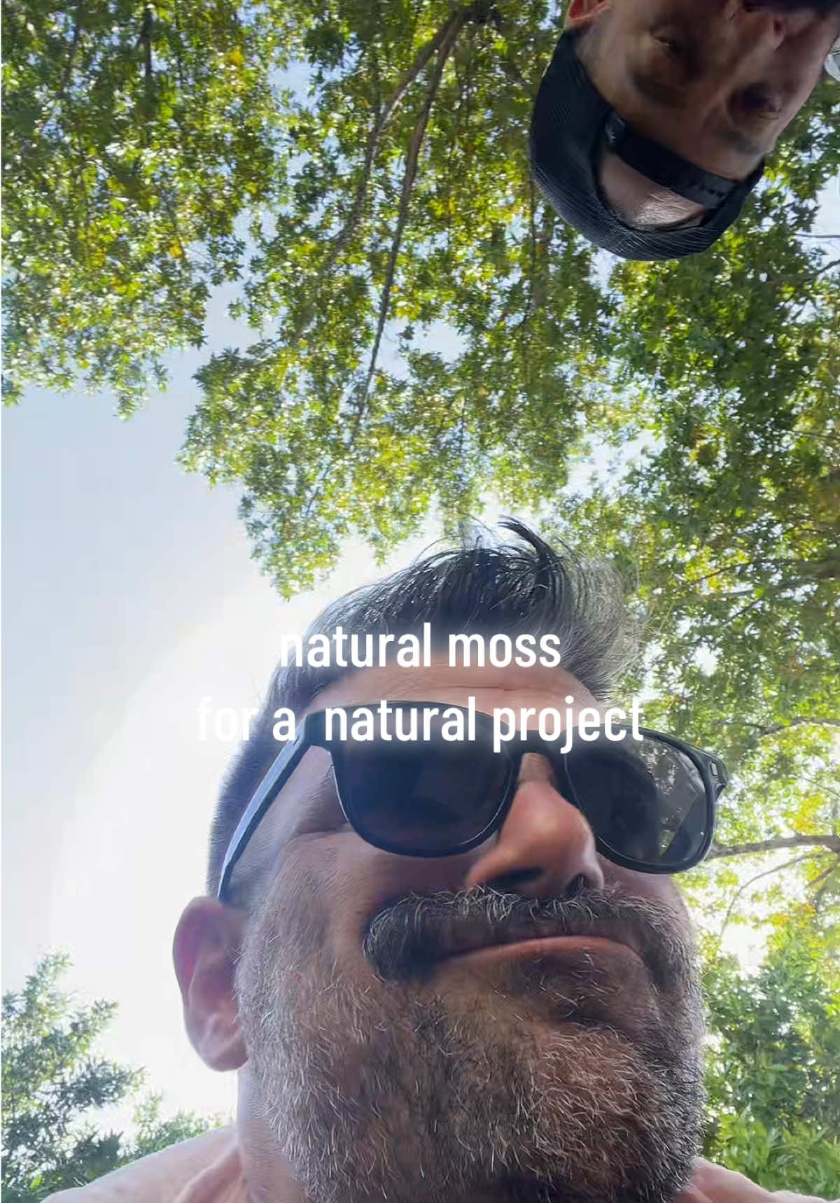 @bearfluence