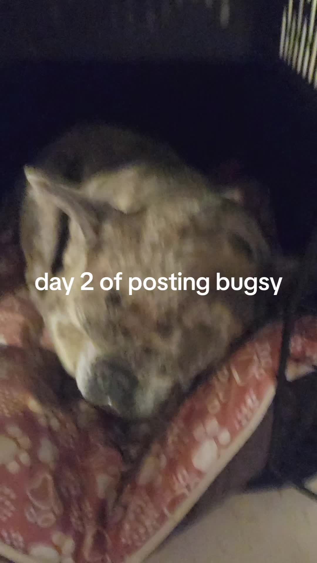 @RusselfromUp