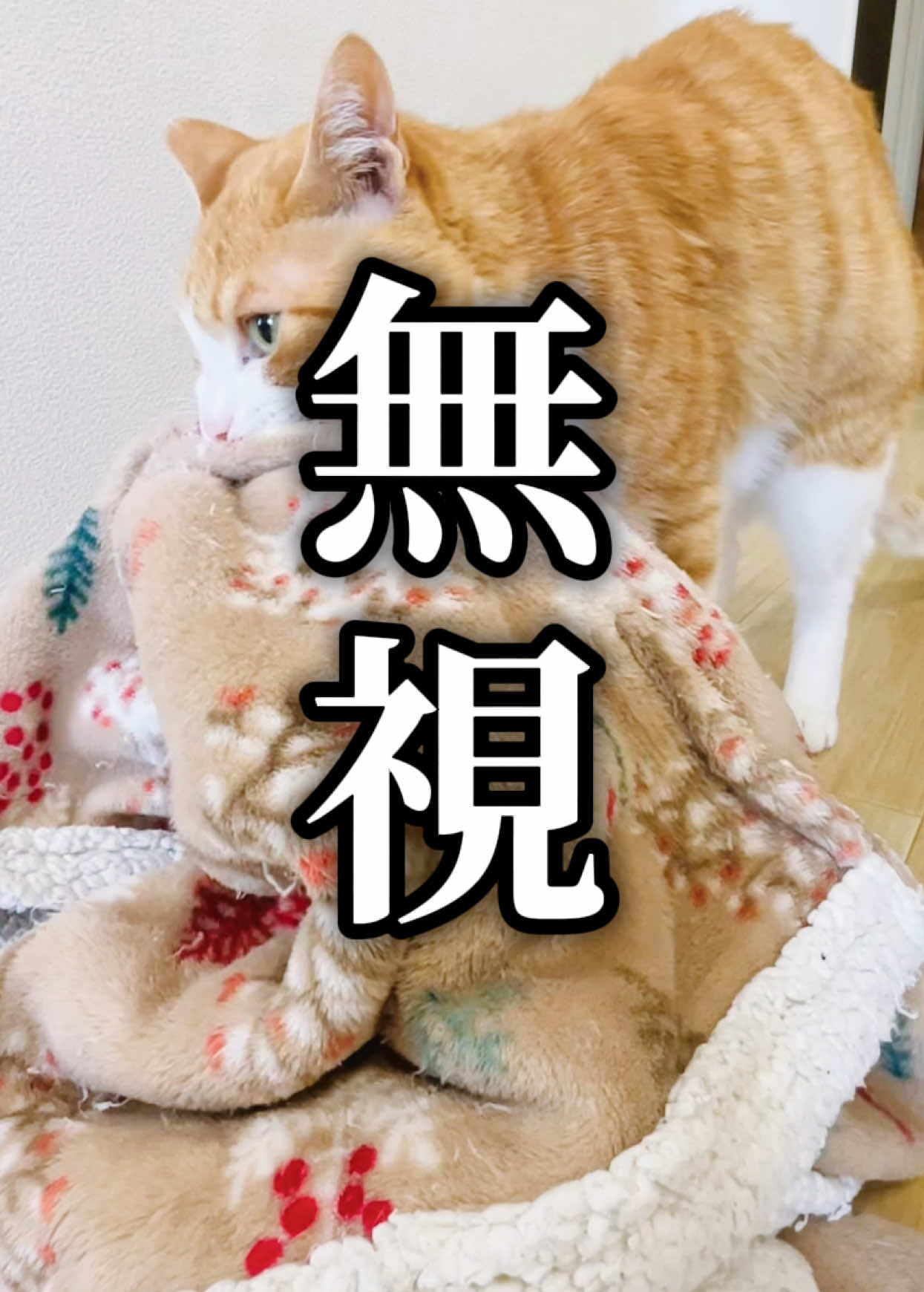 @みーこchannel