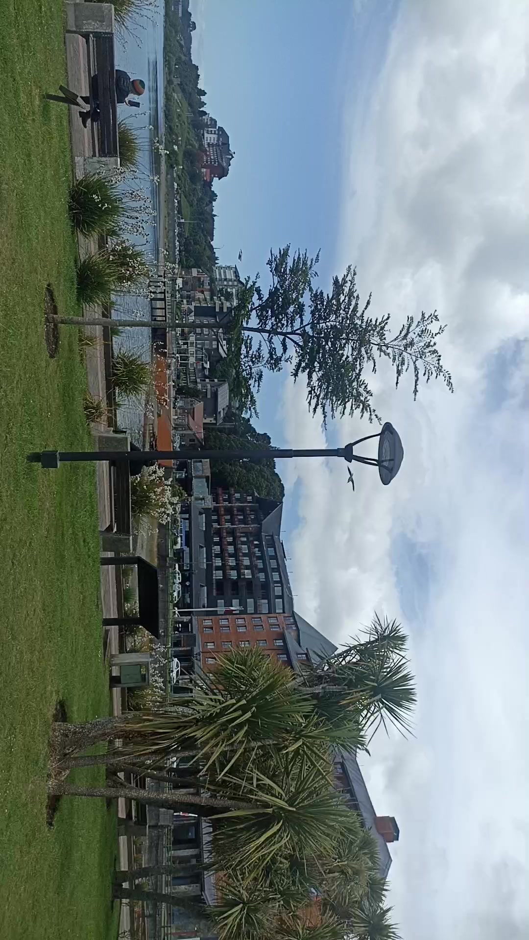 @jejo✌️✌️(chiloe)