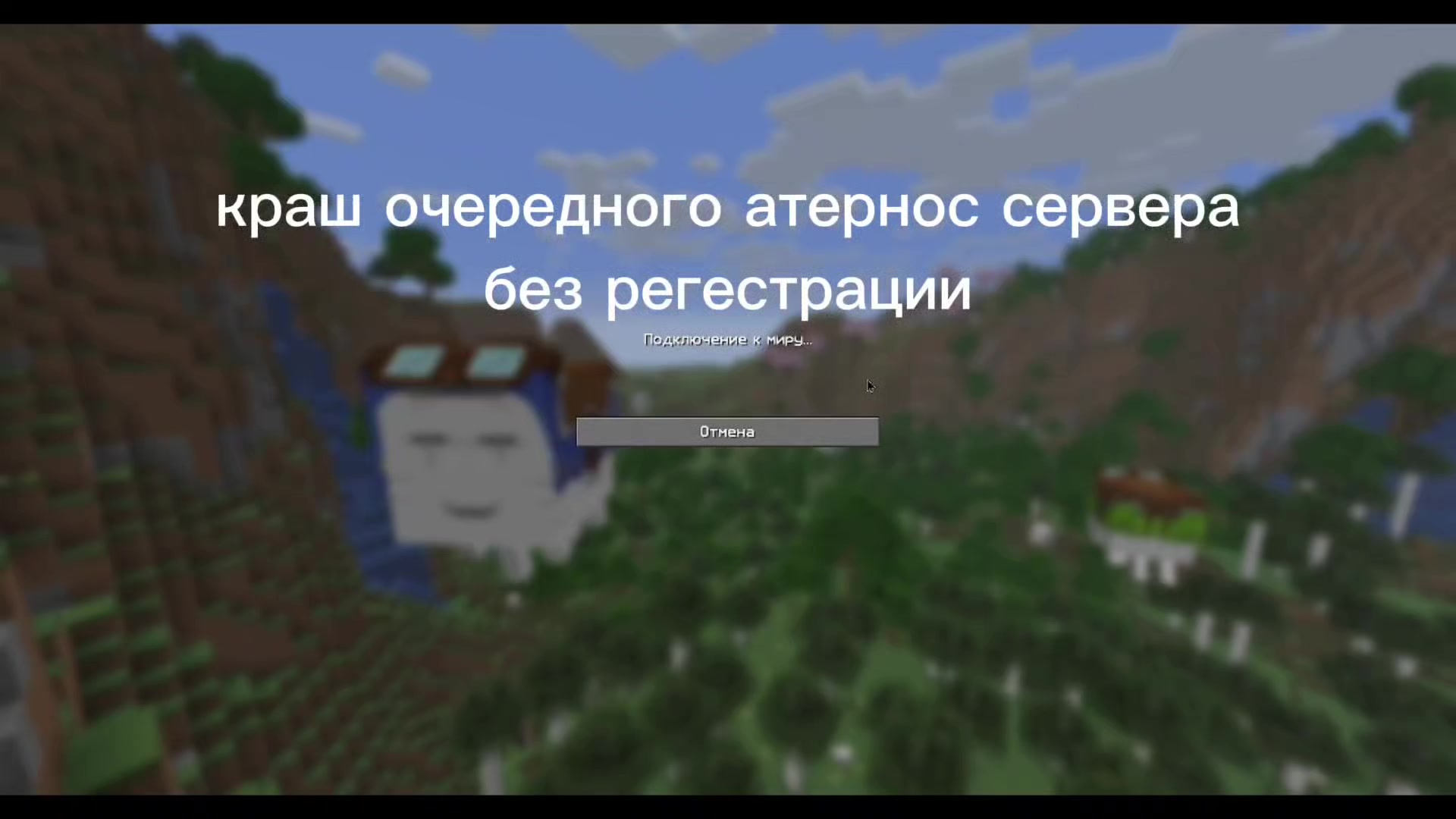 @ZxcCat777