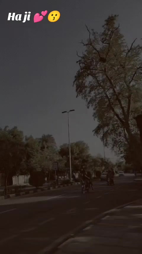 @👑 بھٹی بادشاہ 👑