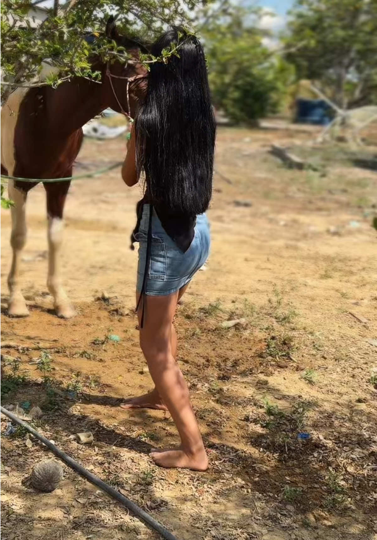 @ѕσρнια🎀