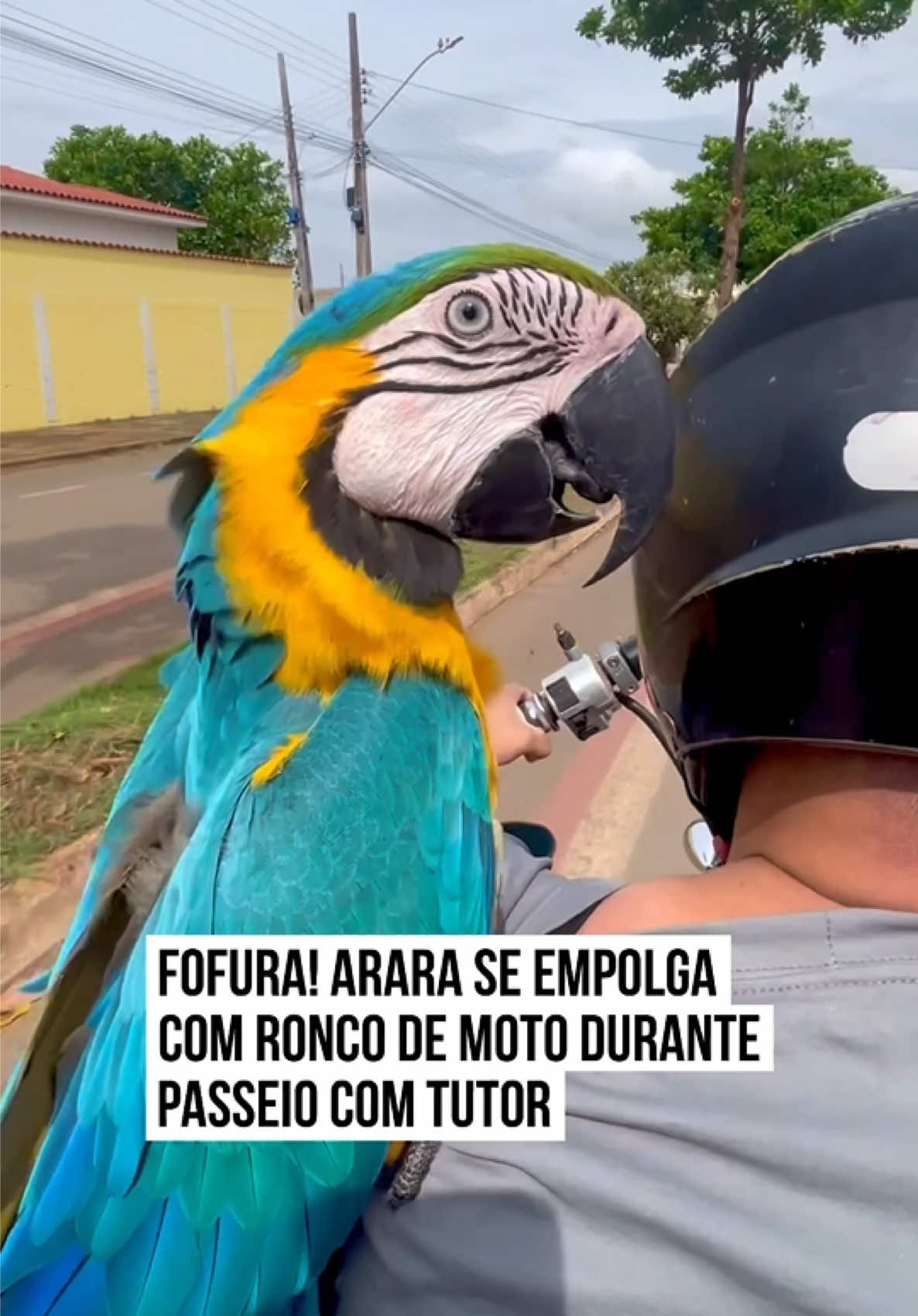 @Metr&oacute;poles Oficial