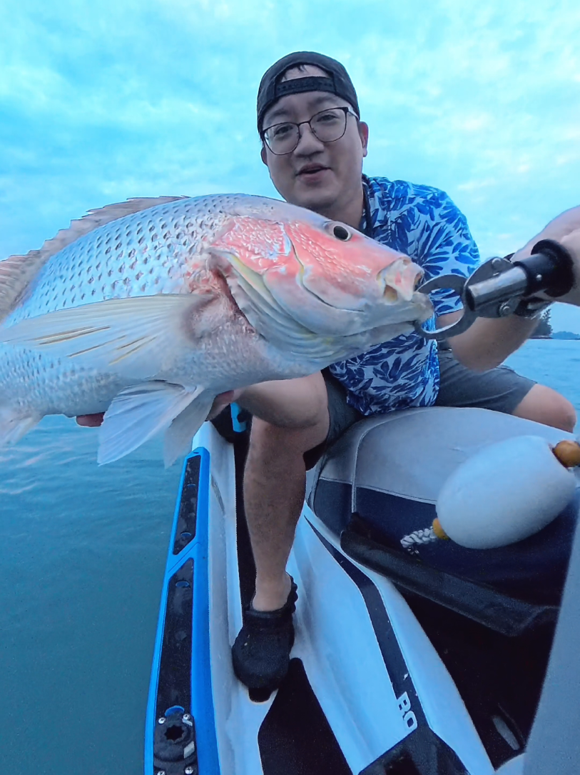 @dontellufishing