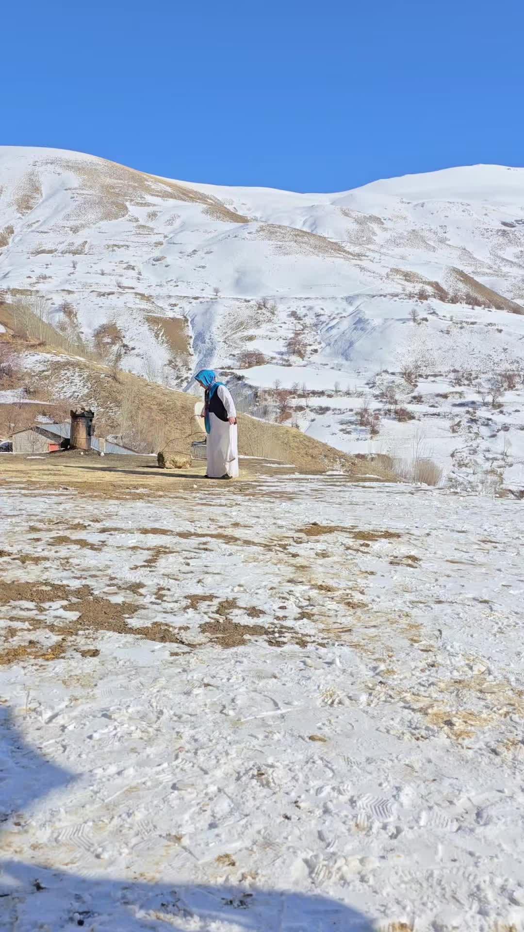 @𝙨𝙖𝙢𝙥𝙖𝙨 tanıtım