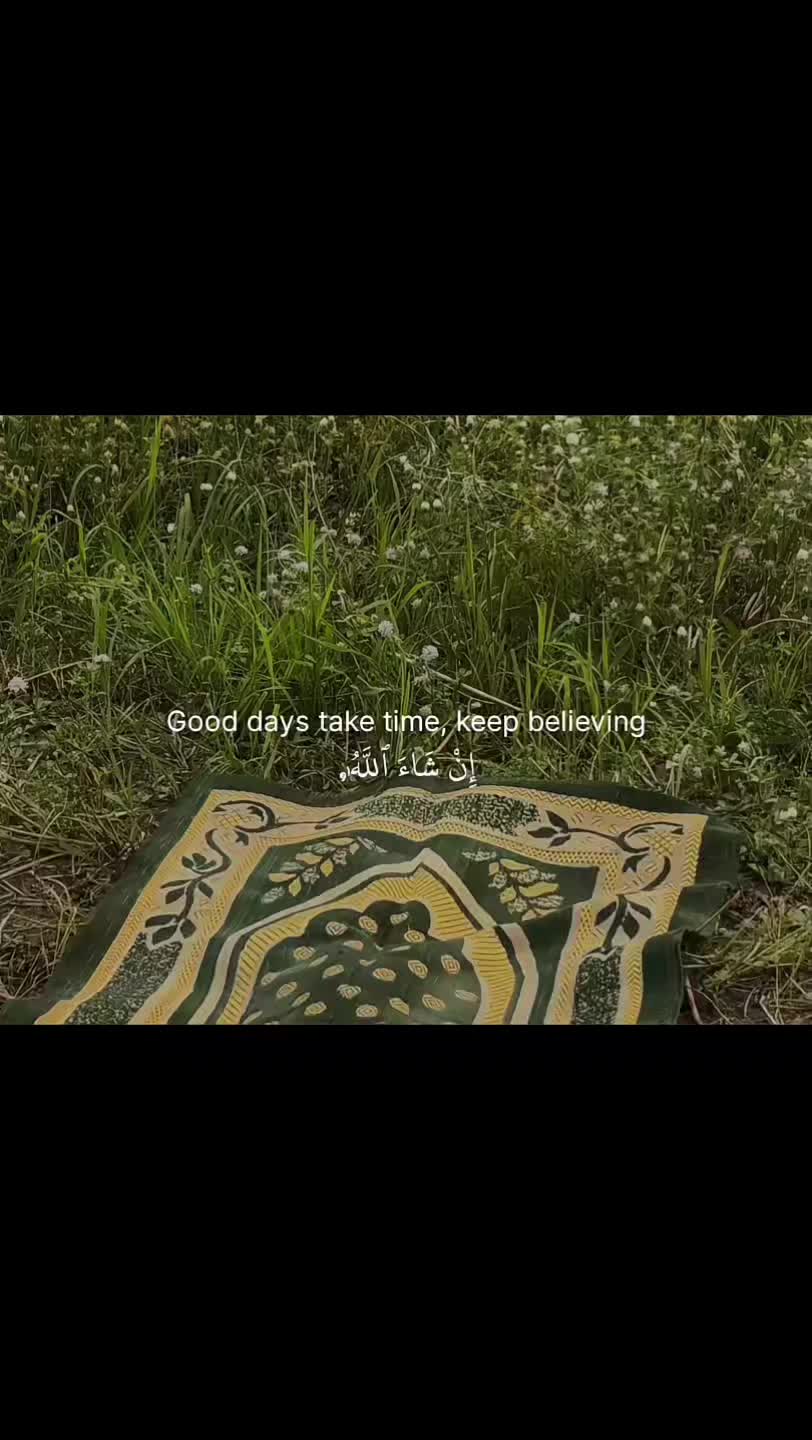 @Halal Mohsin