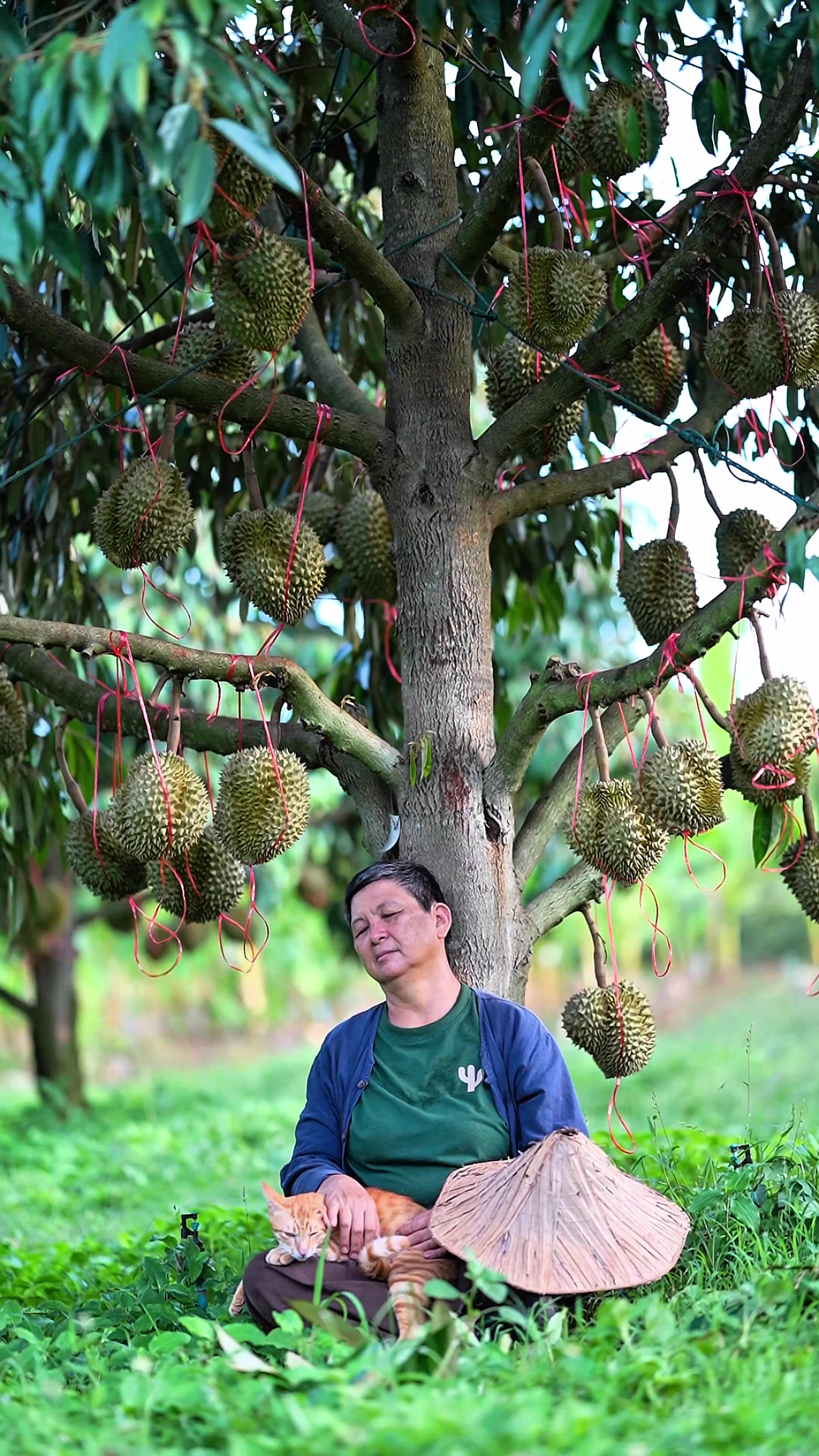 @ไร่วันยังขำ Oneyoungkham farm