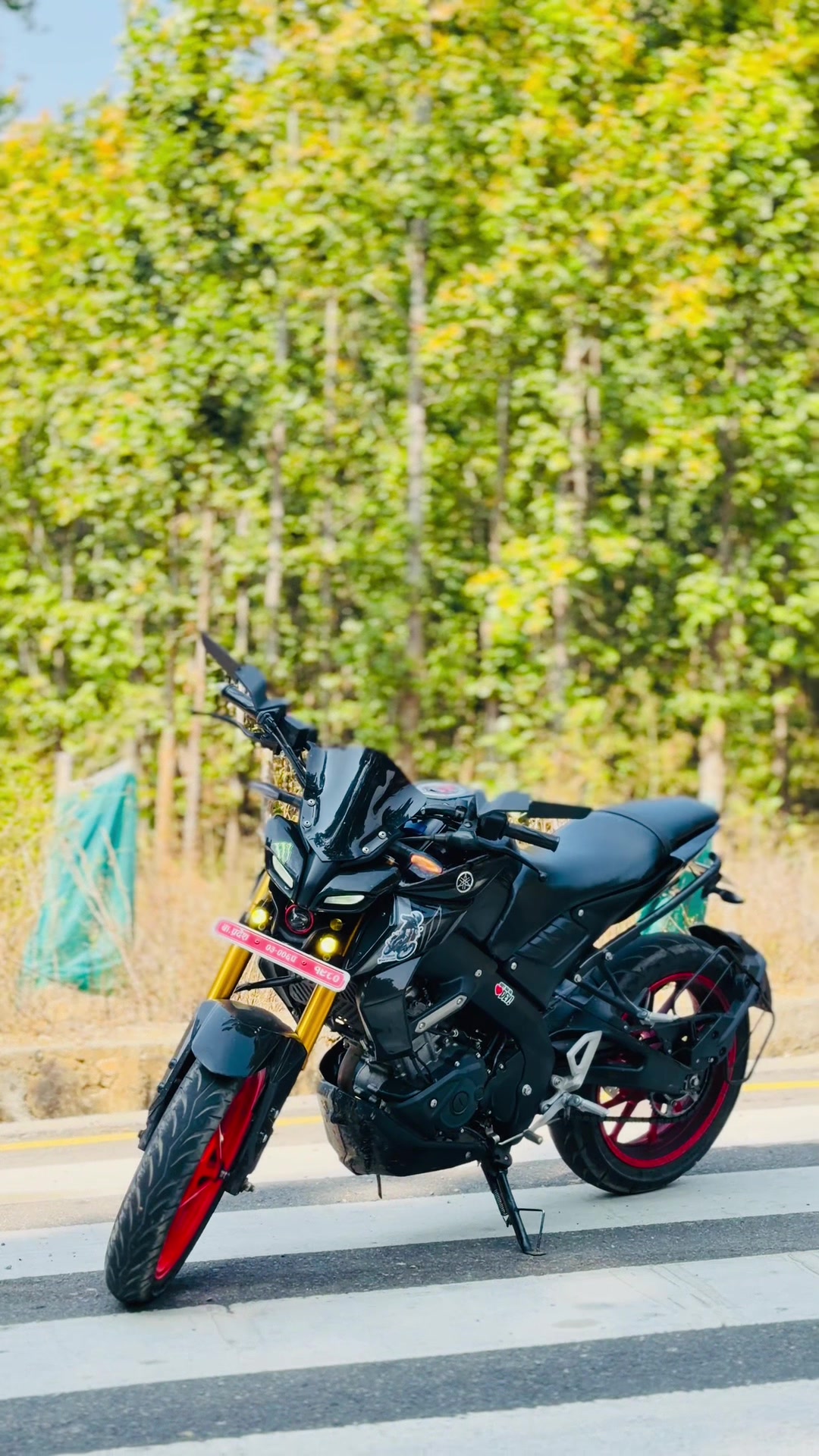 @Sumit Pudasaini