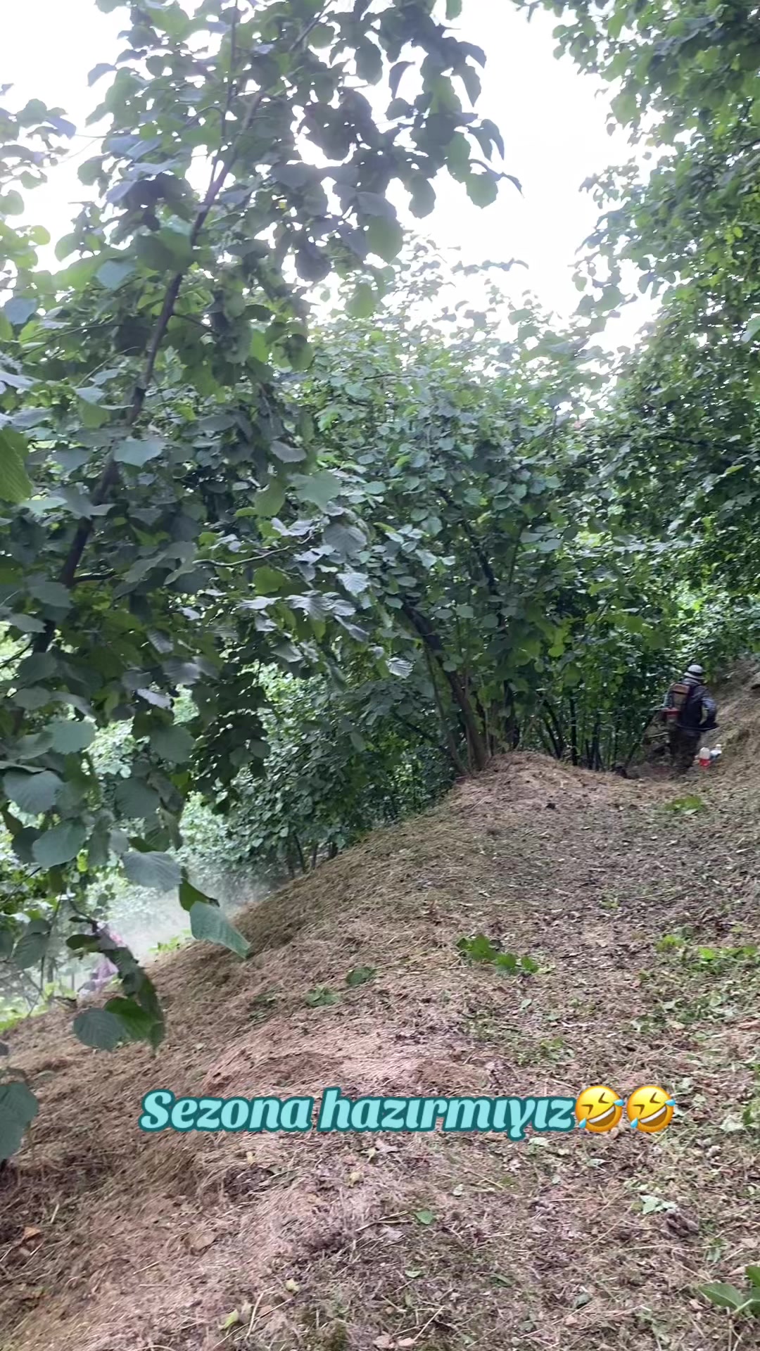 @Yaşar Özdemir