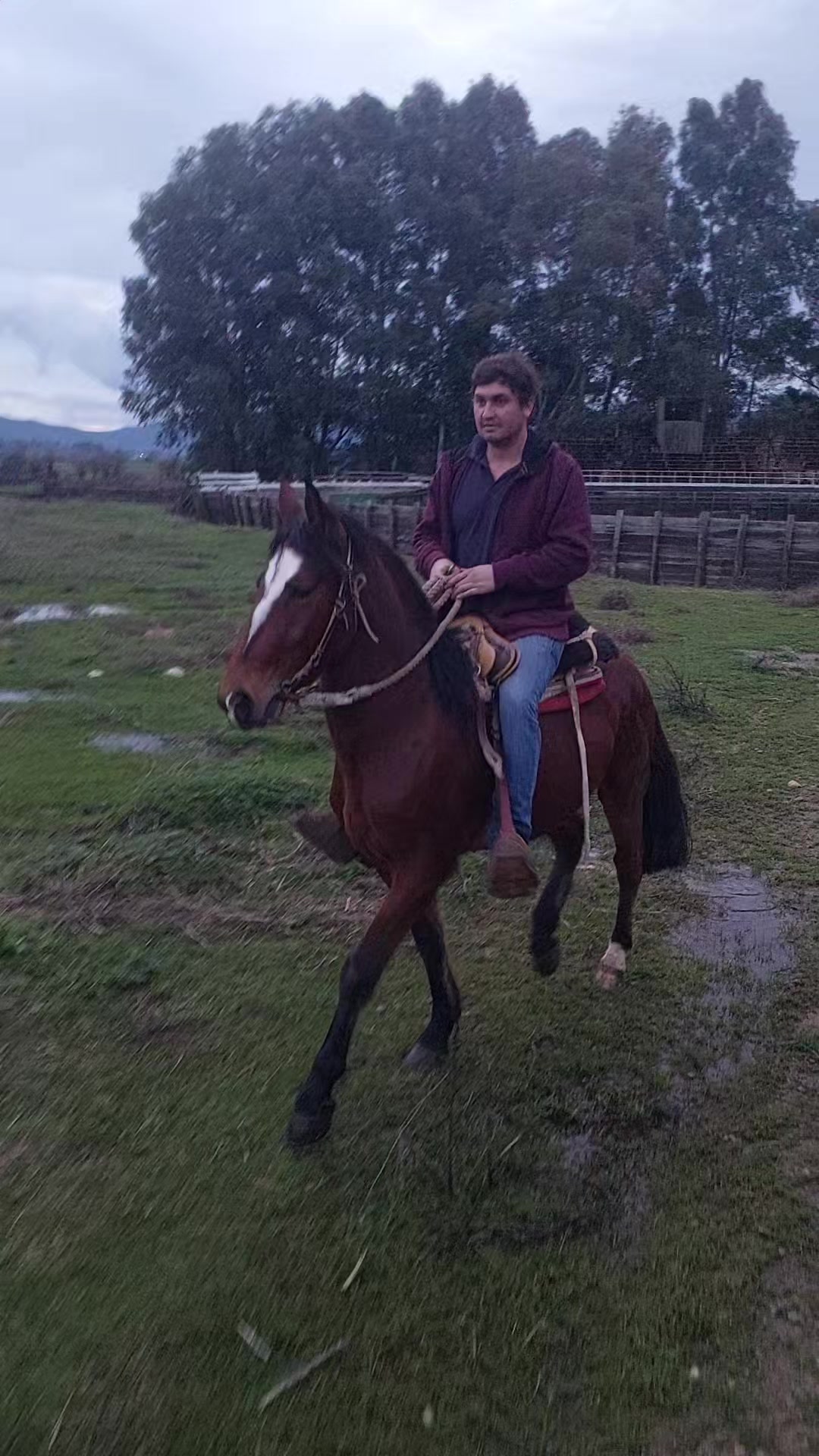 @antoniocutrita