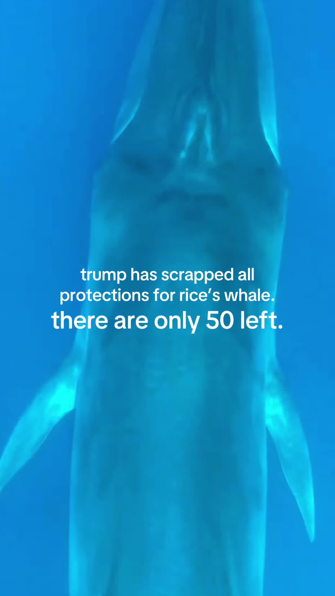 @Democrats