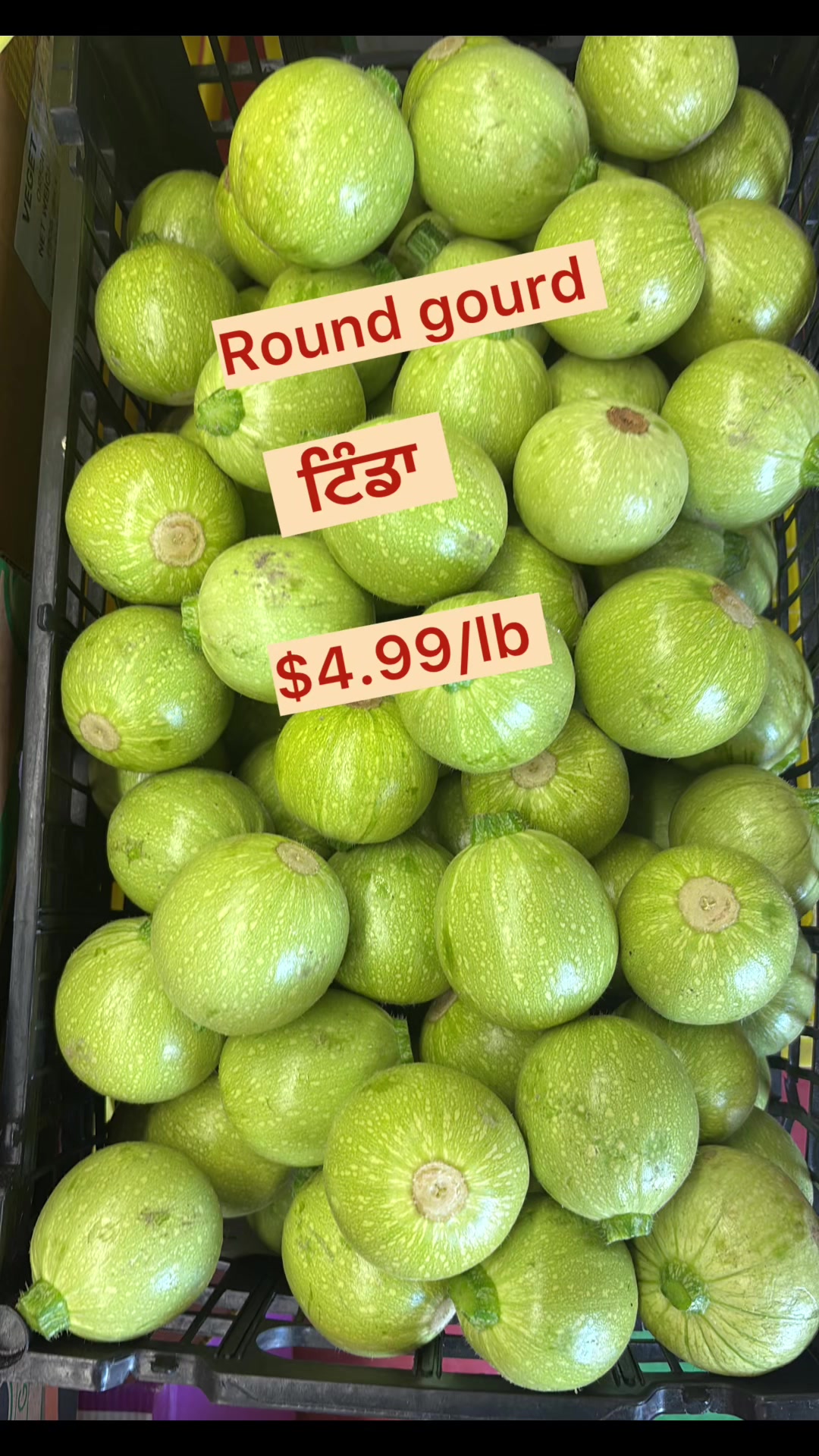 @Global_Grocers_Ltd