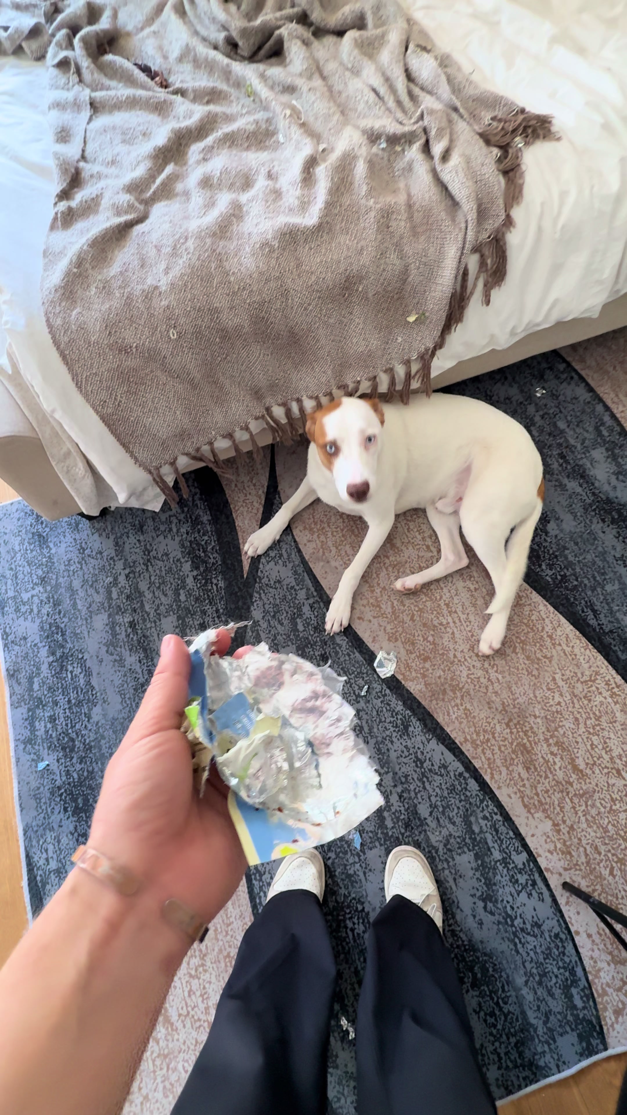 @HappyisAshley 🌞🦋🐶