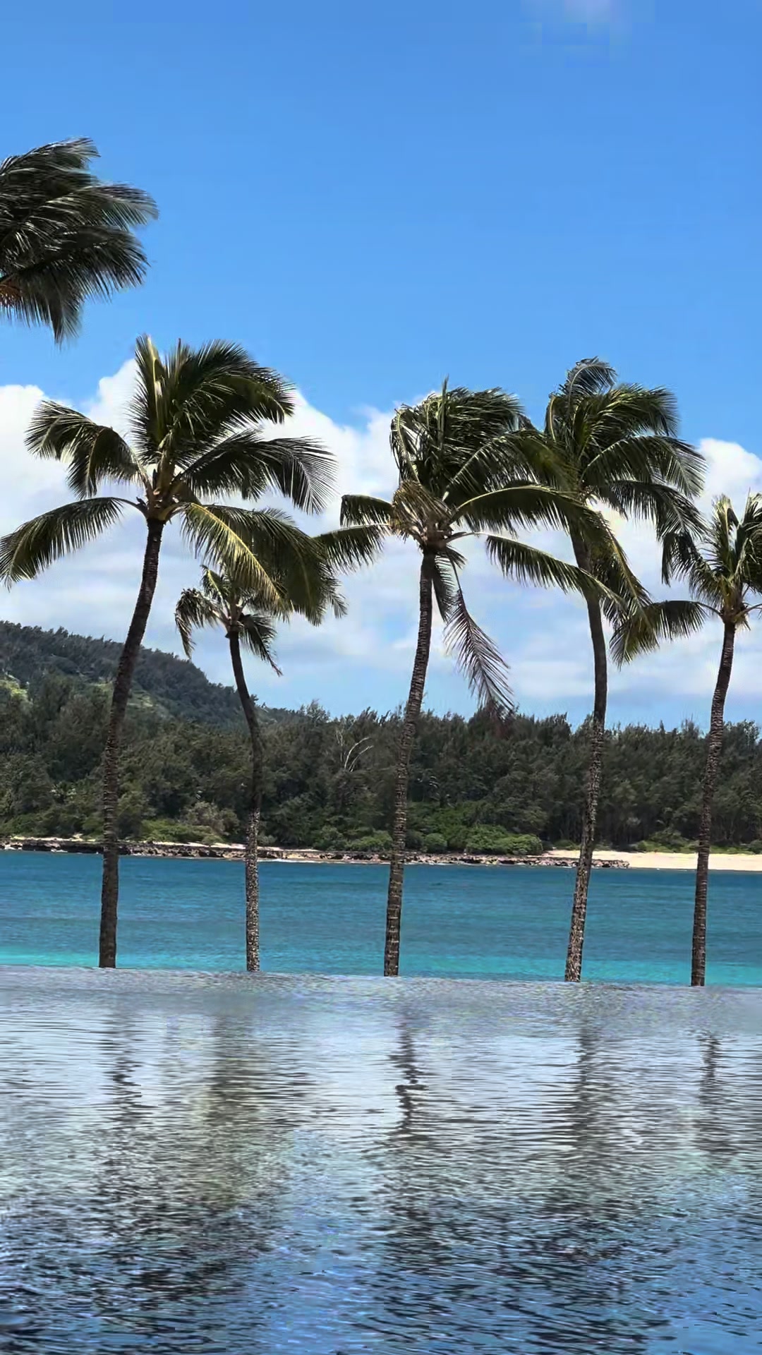 @Shores | Oahu Fragrance House