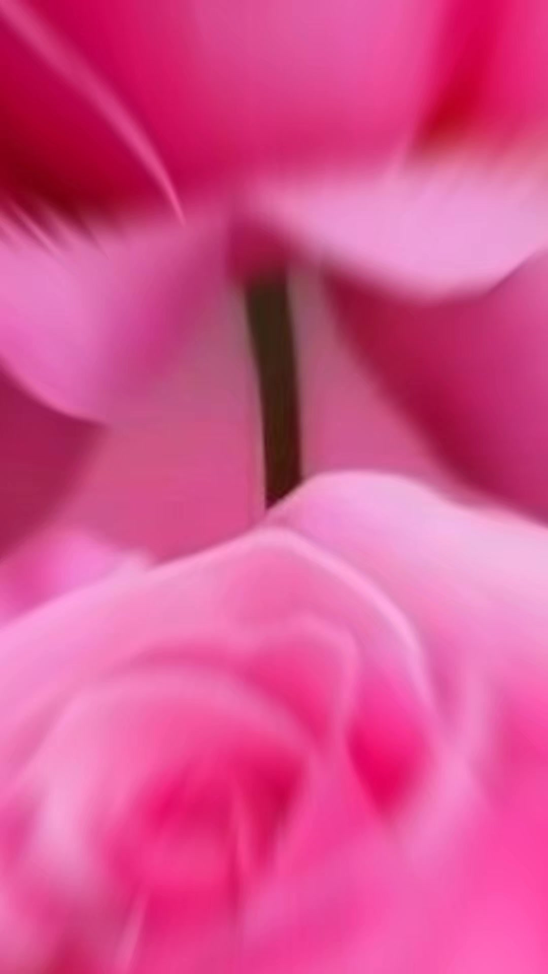 @Jamylar