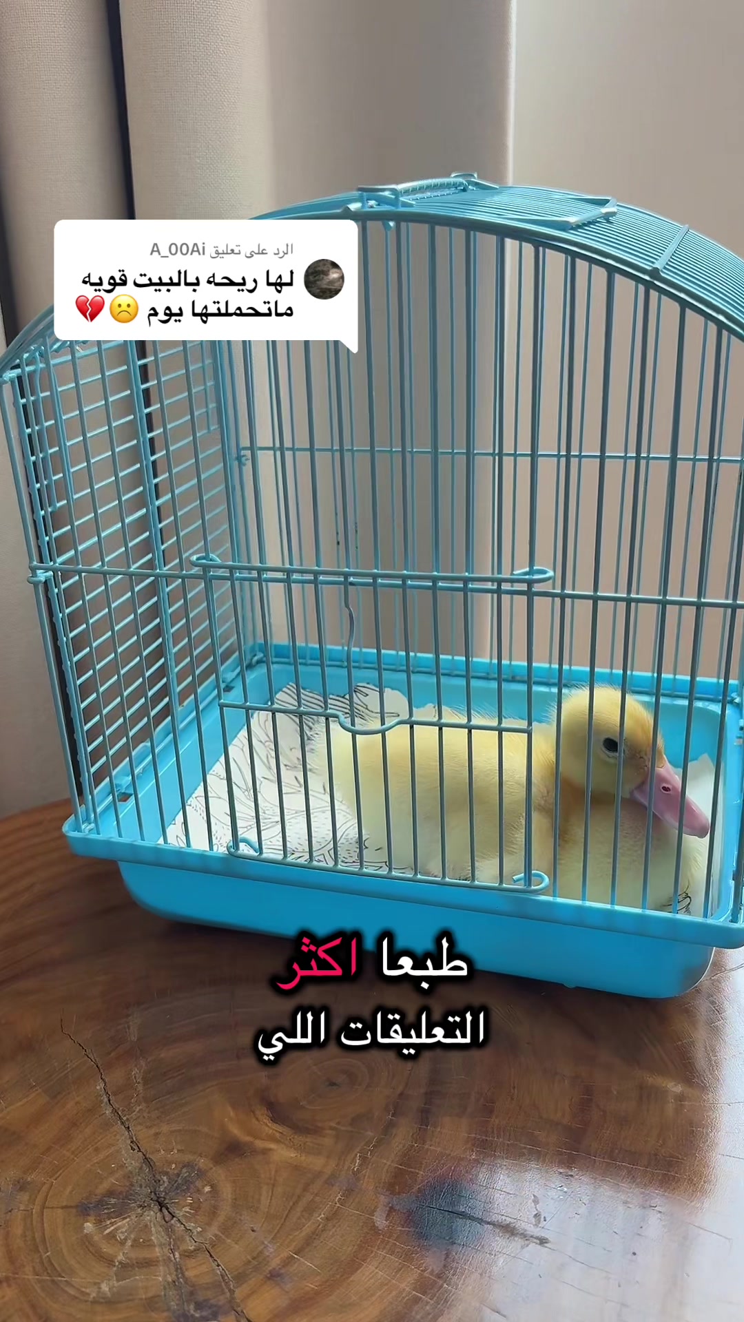 @رزان محمدعبده🪕