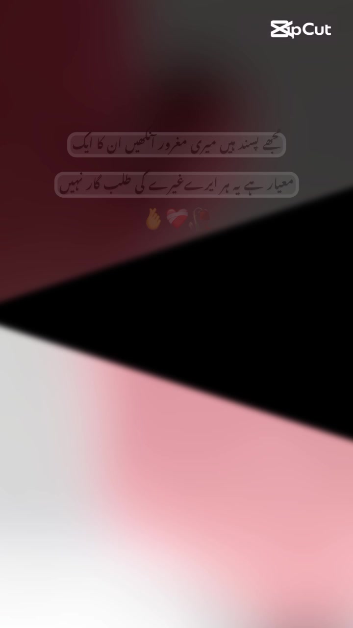 @Mughal Here ☠️❤️🔥🍂