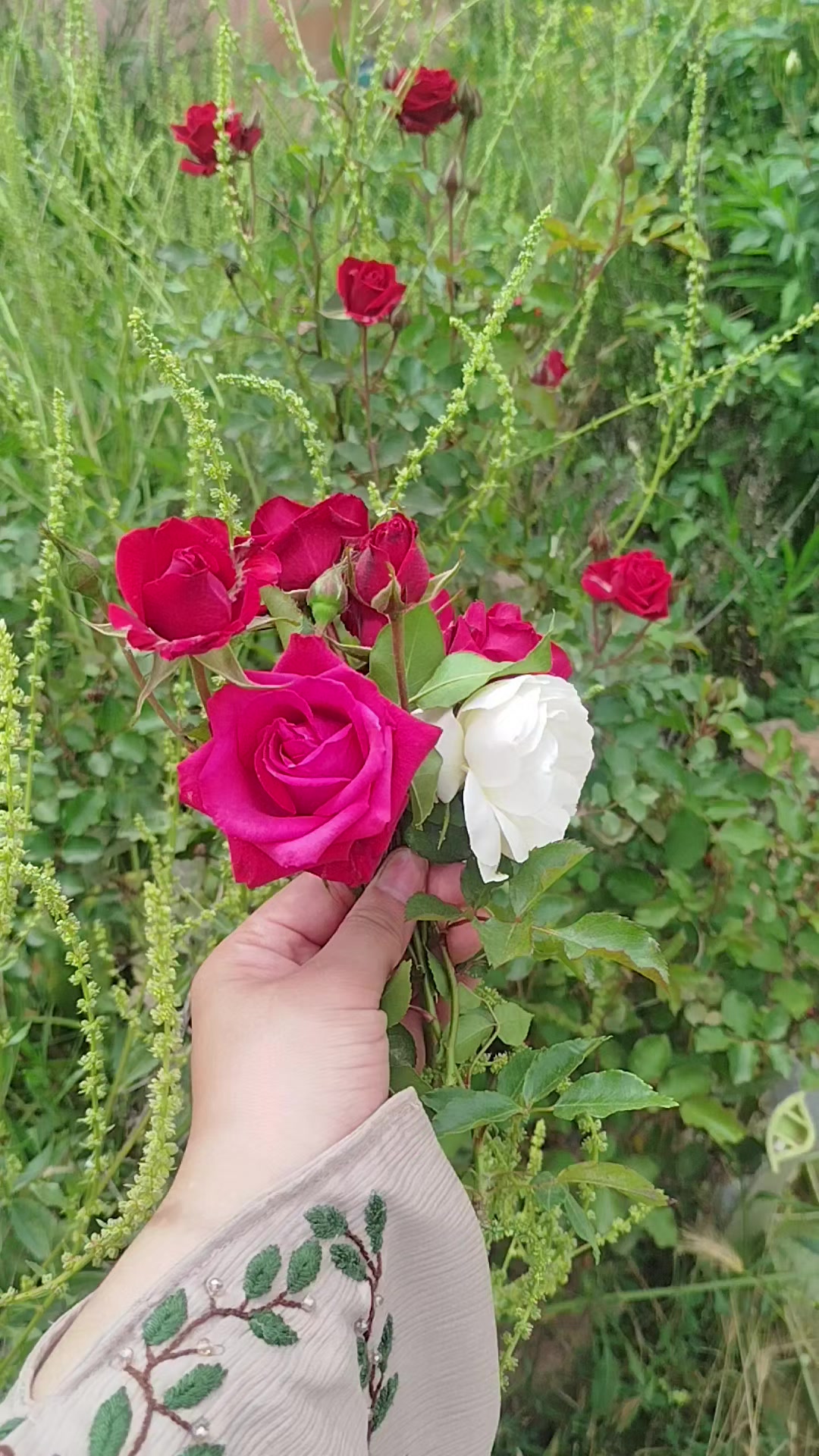 @๐ชฌ๐งฟ ูฒุญููู,ููุขู
Âฤงlâm ๐งฟ๐ชฌ