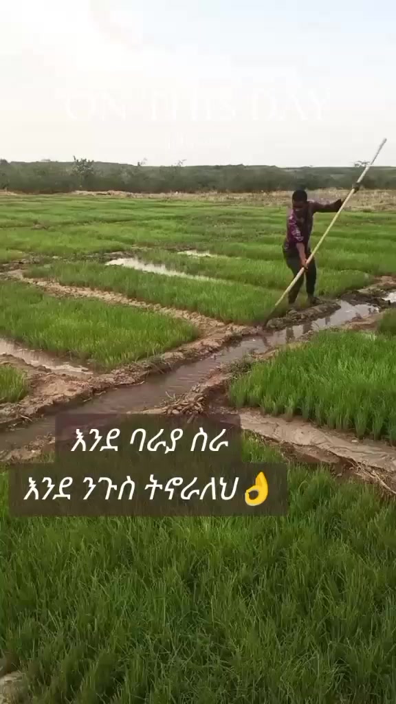 @𝘪𝘁's͡ ʍҽ `