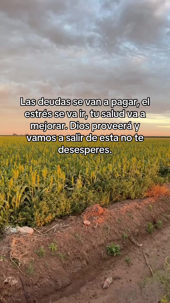 @agroboy_mx