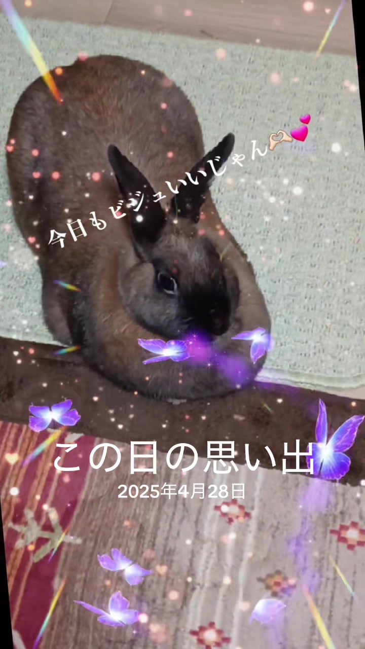 @🐖🧅ちぃ（マロン）🌰🐰🍍