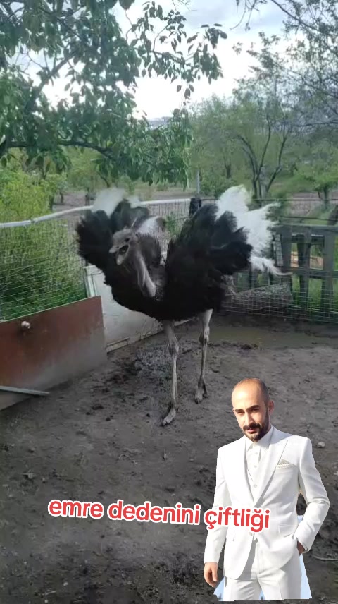@nefretimsin dünya