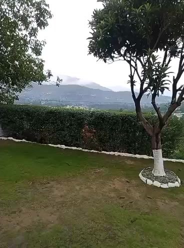 @sʰᵉʰᶻᵃᵈ ڈاکٹر