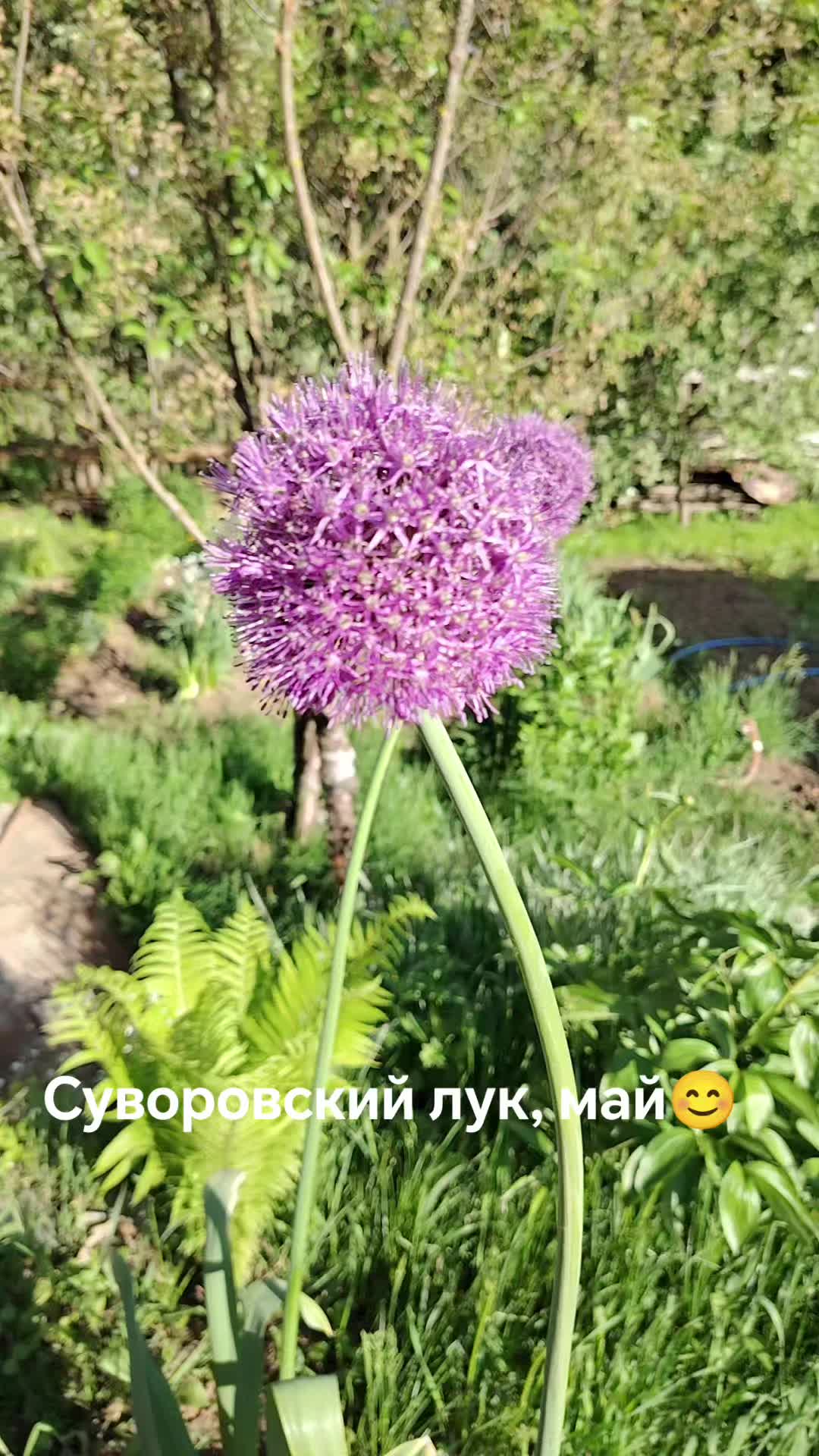 @Алексия