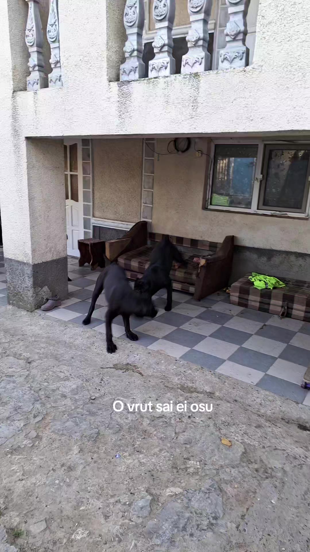 @zolusca