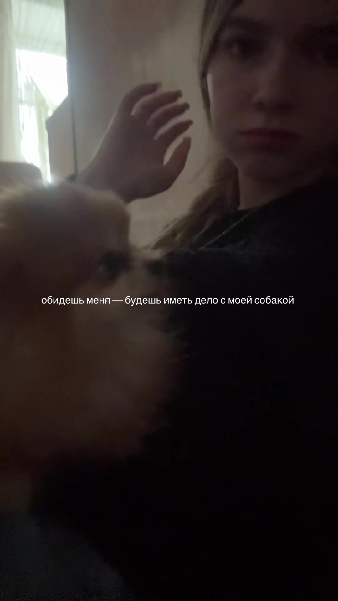 @⊹༄˖ дариня королева