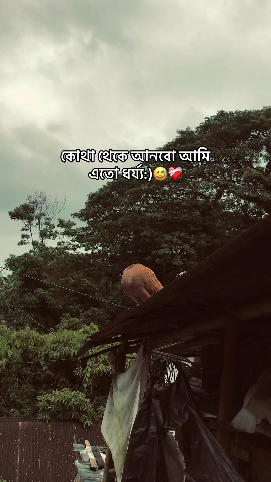 @the_spydoo🕸️ 🥏