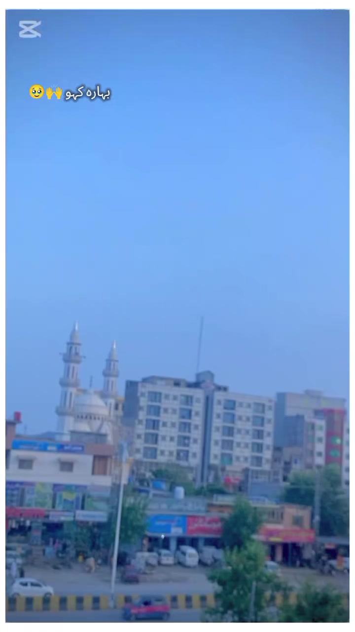@( ٹائیگر🦁MANi👑