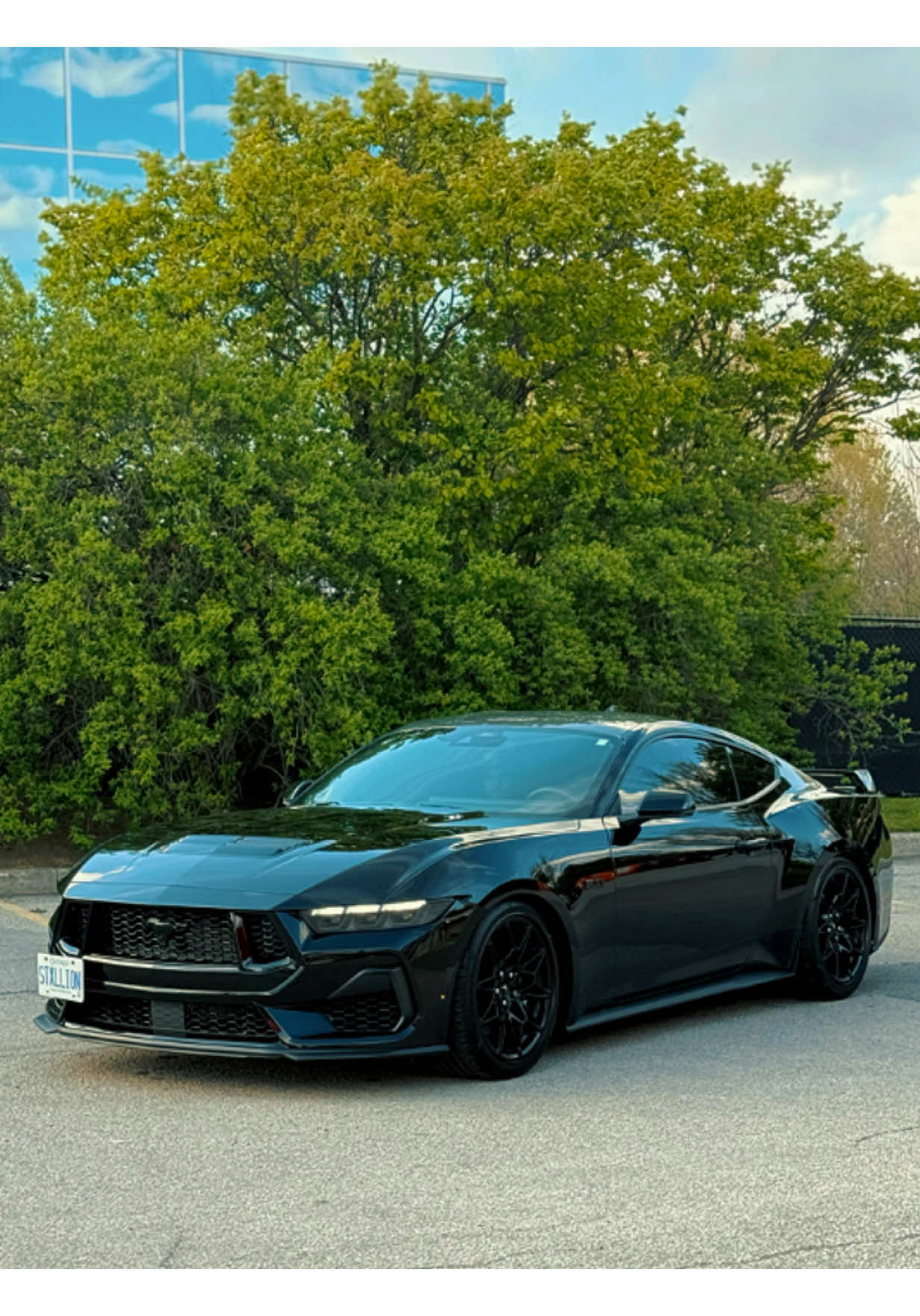 @Mafia_Detailing_Official