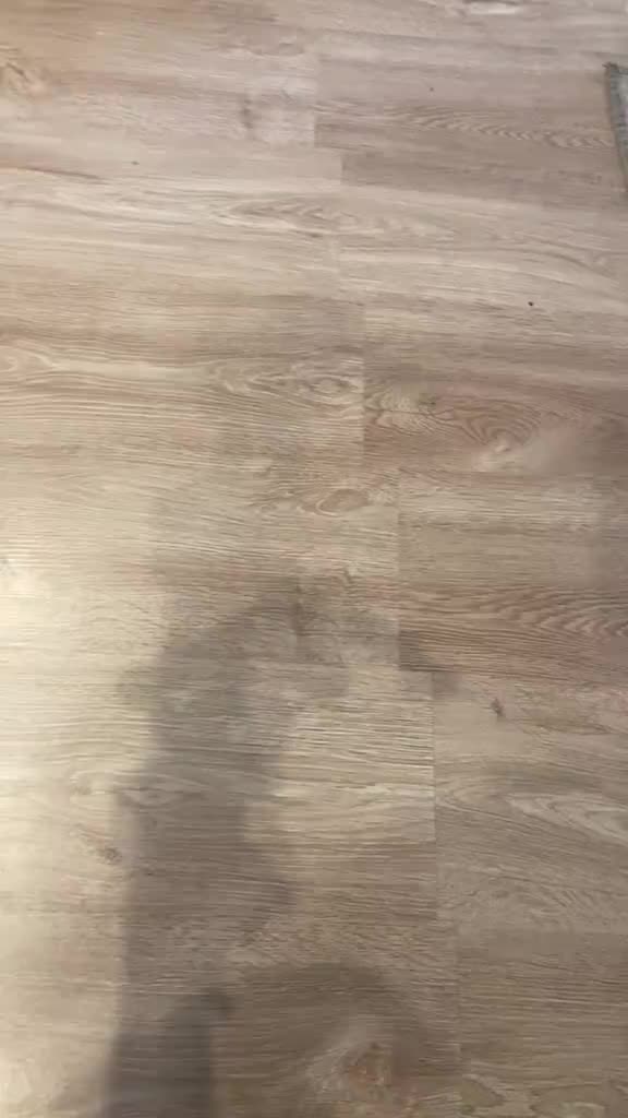 @Danisimo2302