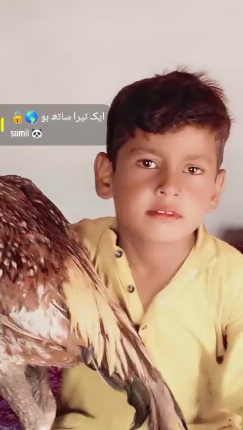 @Faizan. F 💝 M