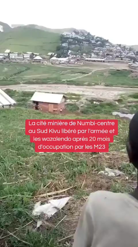 @Pulse Congo