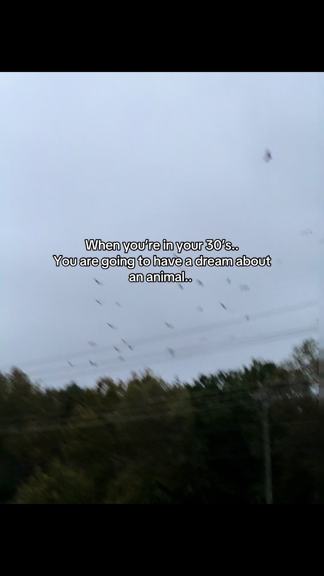 @Summer Raine 🌦️