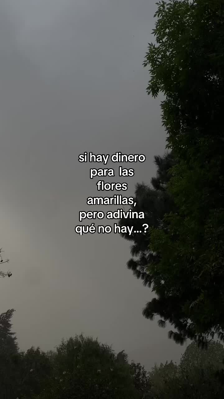 @ D 🙇🏻