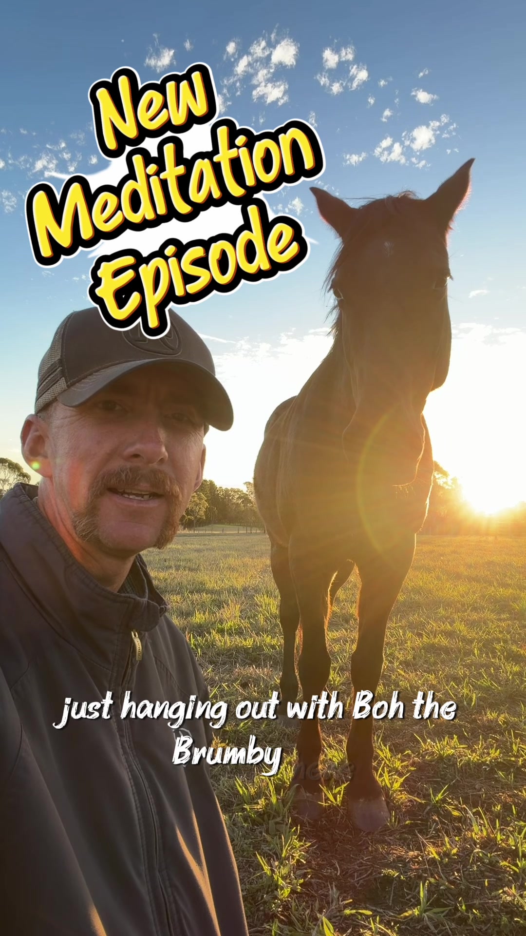@KimDaleyhorsemanship