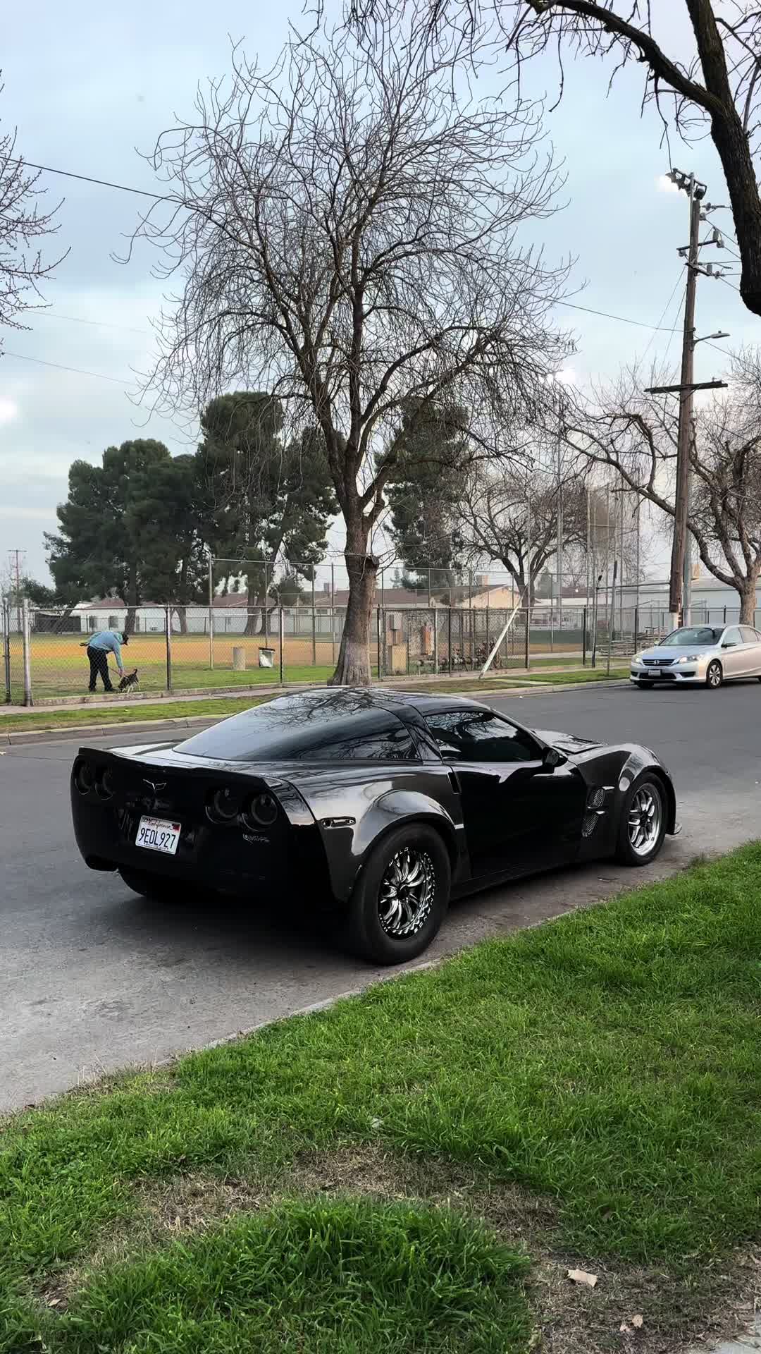 @carbon_c6__