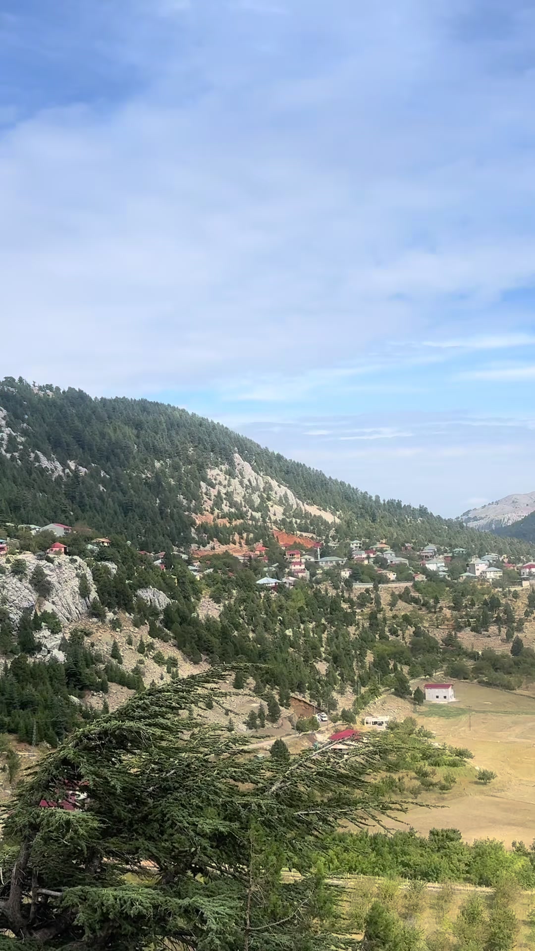 @Mustafa Oğlakçı