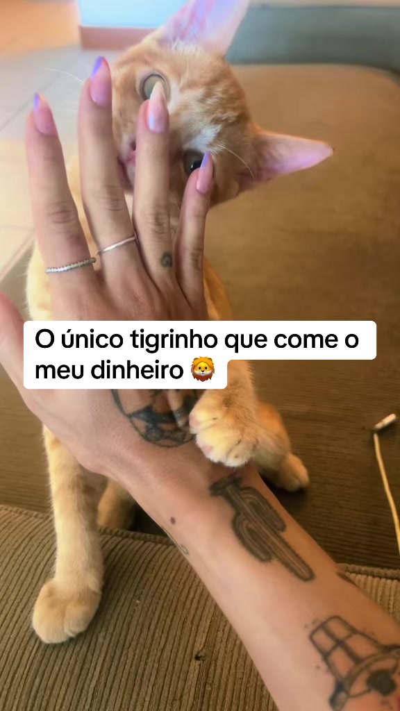 @BAIANA POR A&Iacute; 🇫🇷🇧🇷