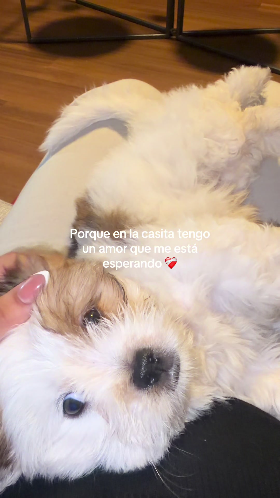 @Camila Chamorro