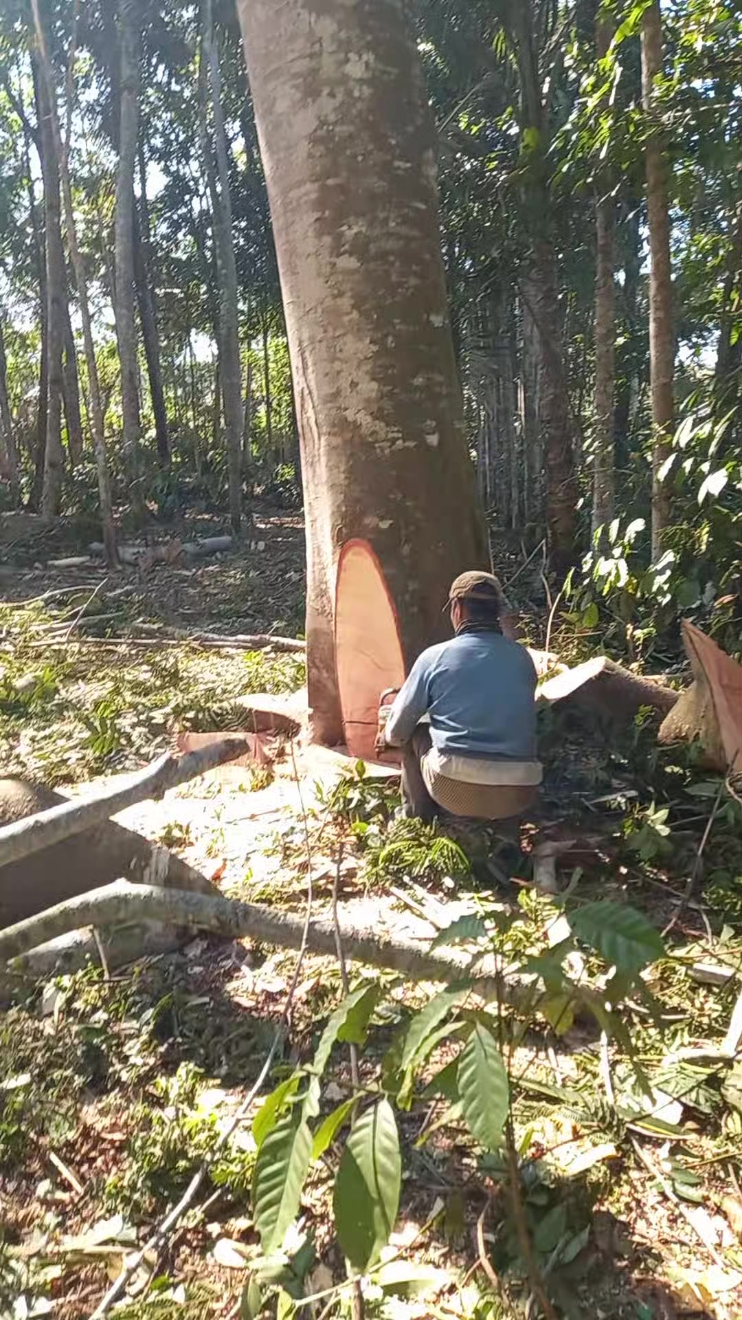 @nandriyanto0
